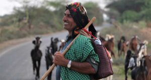 Dalgety photography NZ