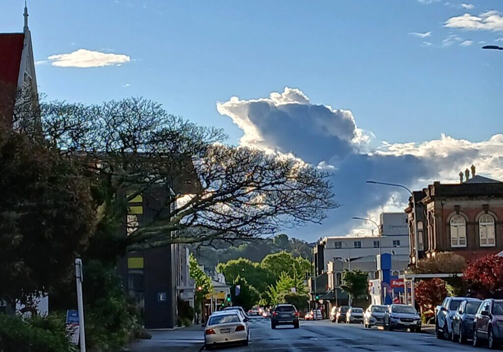 1000024659 1000024659