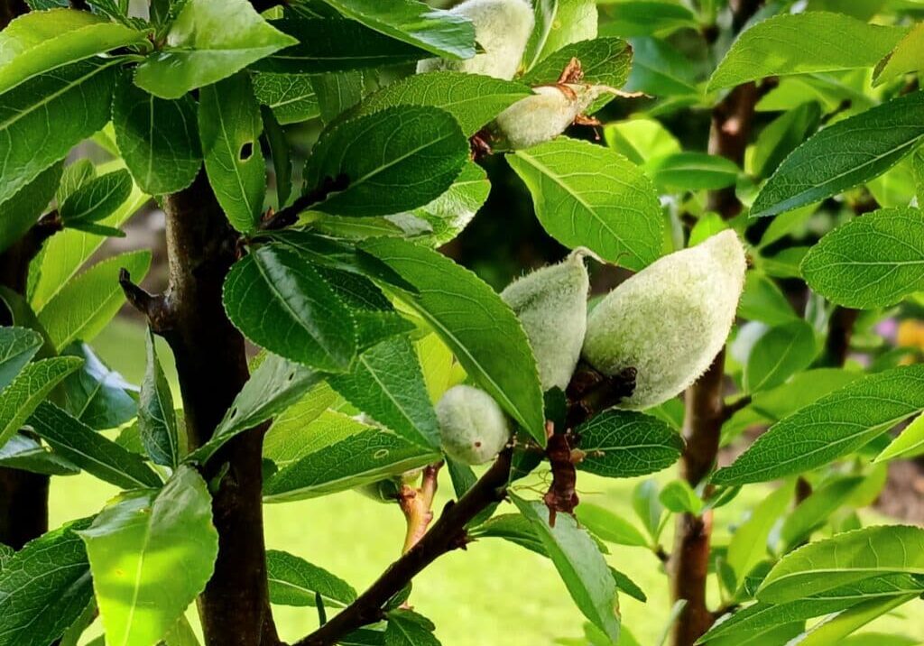 20251018_093115 20251018_093115