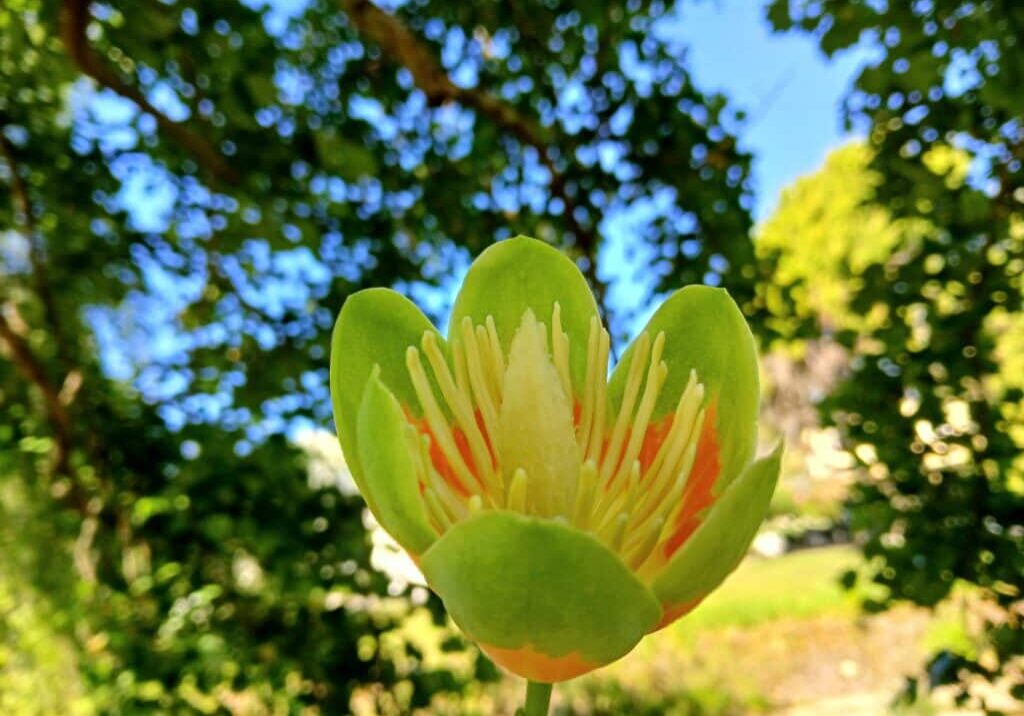 20251120_165626 20251120_165626