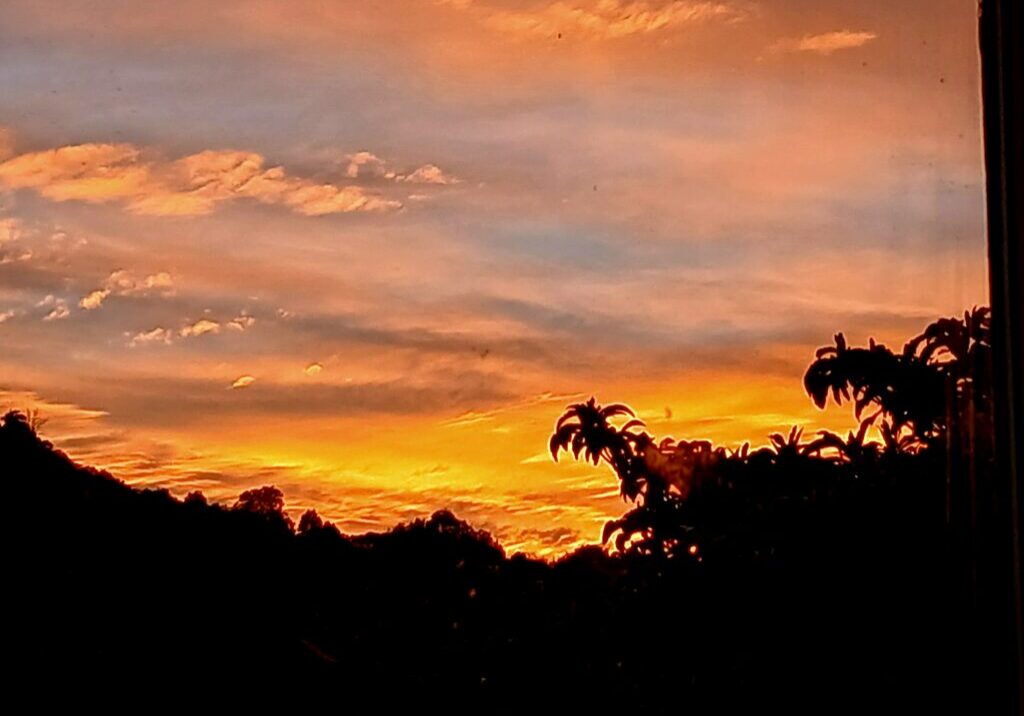 20260309_071300 20260309_071300