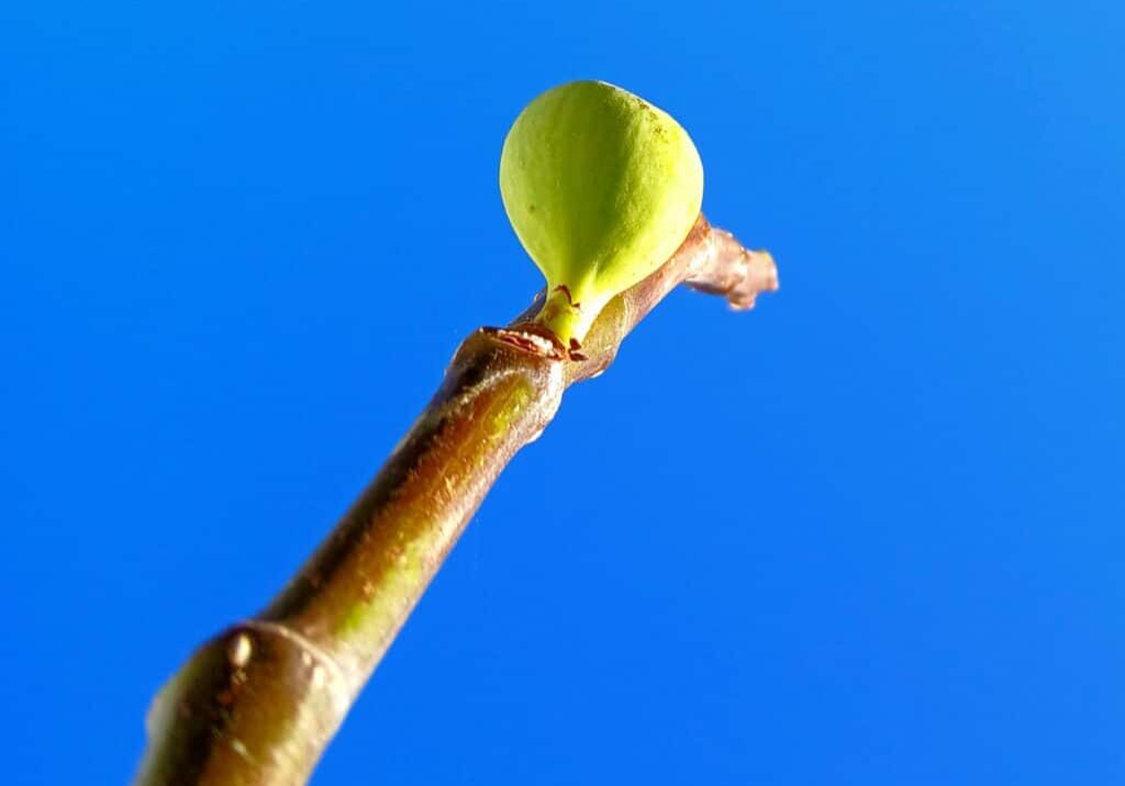 8fa2be03-f4fa-4c0d-8140-1f982b827968-1_all_20869