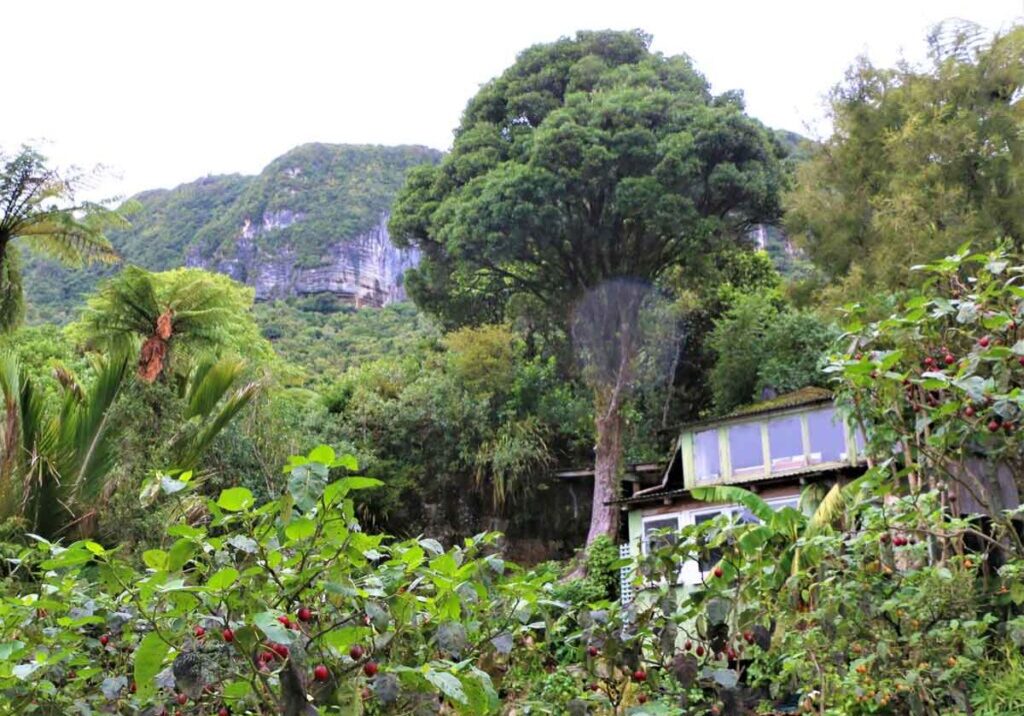 Distant-Cliff-Face Distant-Cliff-Face